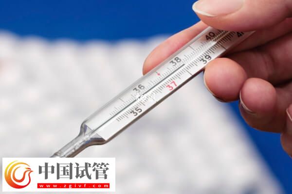 怎么判斷試管移植成功與否(圖2)