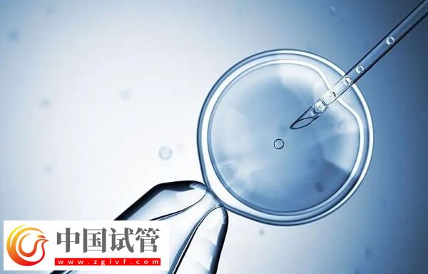 試管嬰兒胚胎移植成功率多少(圖1)