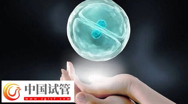 試管嬰兒胚胎移植成功率多少(圖2)