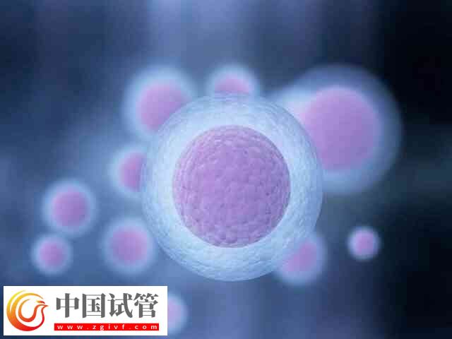 胚胎移植第11天肚子刺疼怎么回事(圖2)