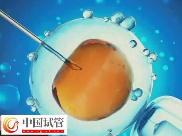 做試管月經不規律的移植方案分享，激素替代周期為其一(圖1)