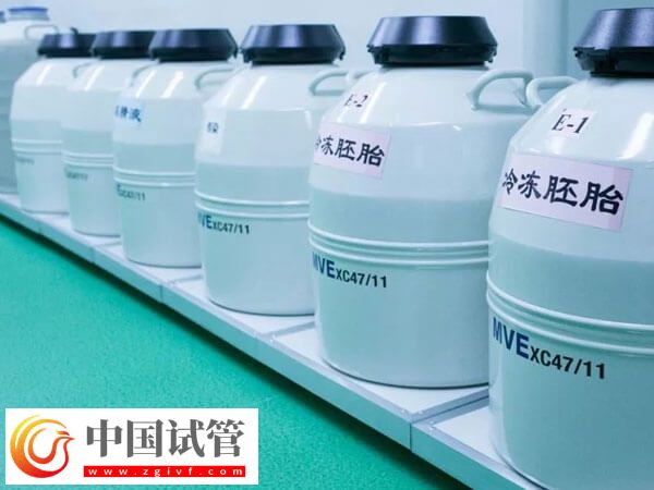 試管嬰兒CET和FET是什么意思(圖1)