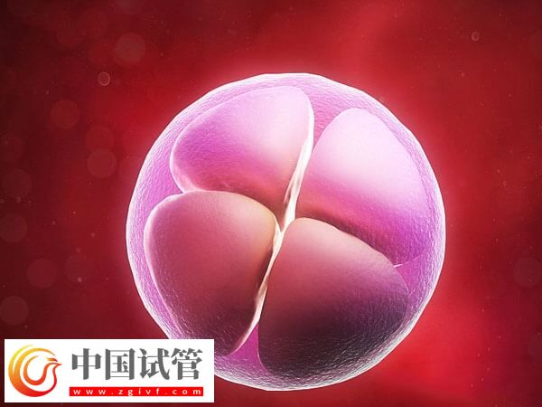 導致胚胎移植失敗的因素是什么(圖2)