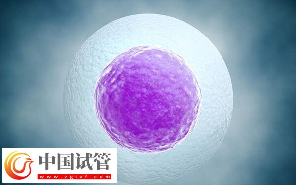 第三代試管嬰兒移植6bc囊胚成功率多大(圖1)