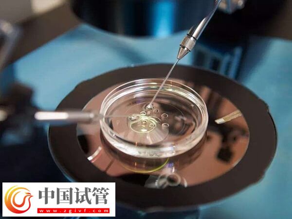 pgs篩查會淘汰多少囊胚(圖2)