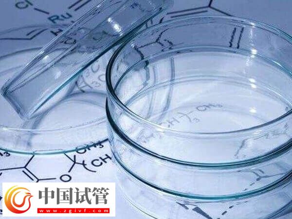 免疫球蛋白在胚胎移植第幾天打(圖1)