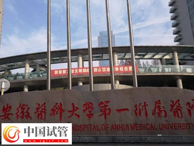合肥安醫(yī)大吳歡做試管怎么樣(圖1)