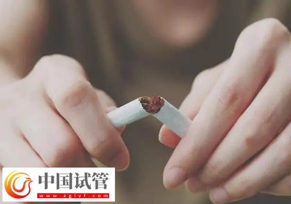 做試管是不是可以提高卵子質量(圖2)