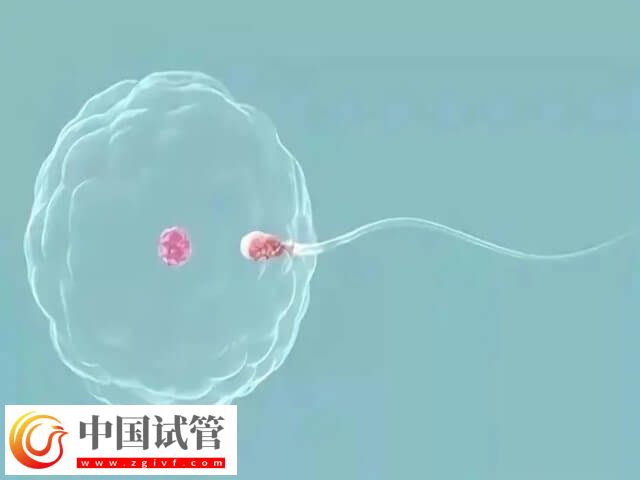 做試管不要結(jié)婚證的醫(yī)院有哪些(圖2)