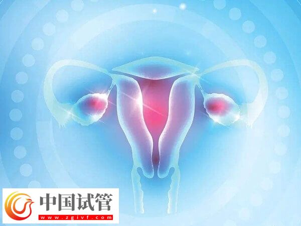 24歲卵巢早衰醫(yī)生說不用治怎么回事(圖2)