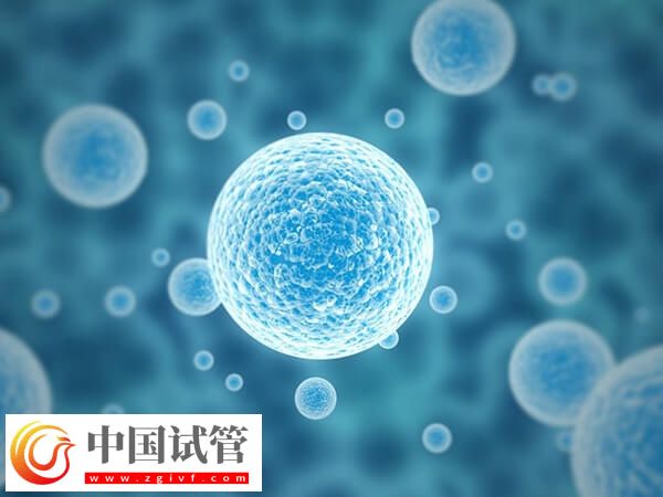 30歲基礎(chǔ)卵泡幾個(gè)正常(圖1)
