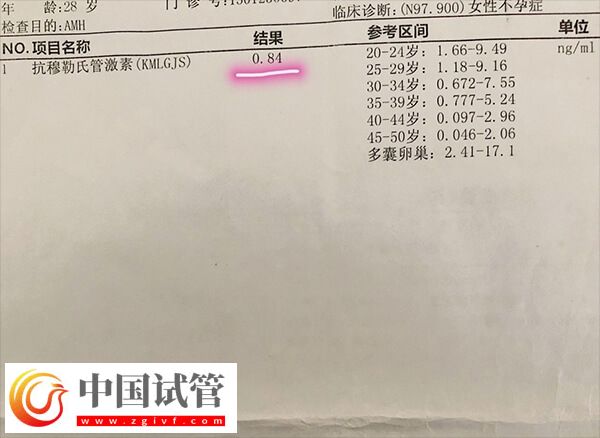 amh低會不會有優勢卵泡發育(圖2)