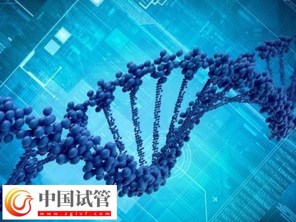 胚胎篩選和性別篩選是否一樣(圖2)