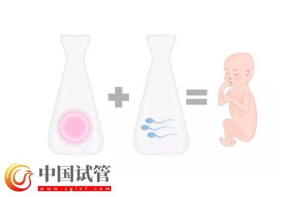 能不能做第四代試管嬰兒了(圖2)