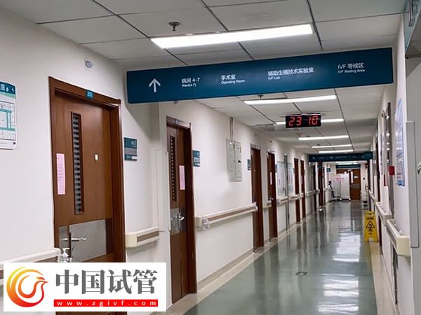 北京試管嬰兒成功率最高的醫(yī)院是哪個(圖2)