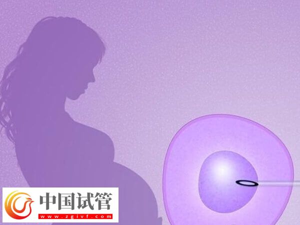 拉拉做試管嬰兒前要做好什么準備(圖1)