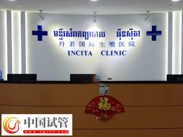 拉拉做試管嬰兒前要做好什么準備(圖3)