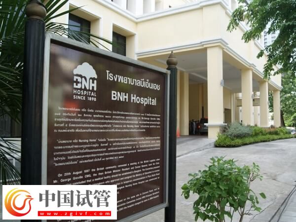 拉拉做試管嬰兒前要做好什么準備(圖2)