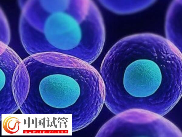 關節攣縮做試管有沒有影響(圖1)