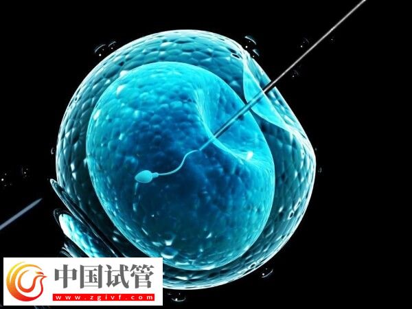 長春婦產醫院做一代和二代試管嬰兒的成功率有多高？(圖1)