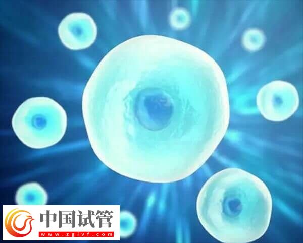 在長春婦產醫院做一次試管嬰兒的費用是多少呢？(圖1)