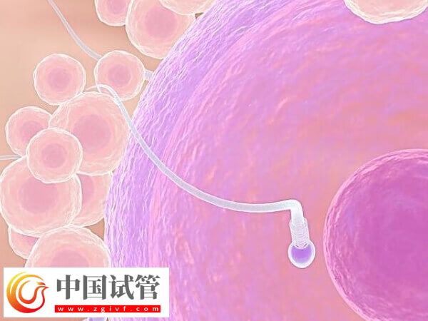 做試管促排卵要注意什么(圖3)