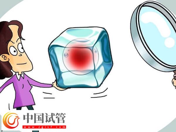 國內為什么禁止單身女性凍卵(圖3)
