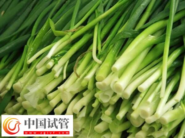 為什么鮮胚移植后不建議吃韭菜？(圖1)