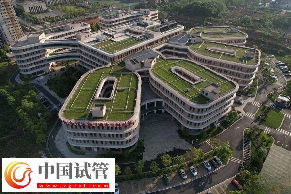 在湖南哪些醫院可以做三代試管嬰兒技術？(圖1)