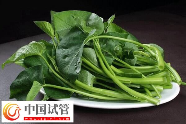 胚胎移植后吃空心菜是否有利于排便(圖2)