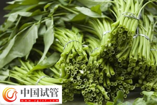 胚胎移植后吃空心菜是否有利于排便(圖3)