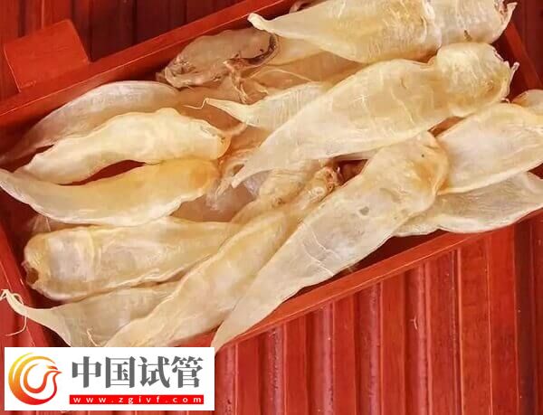 胚胎移植后每天吃魚膠是否有利于著床(圖2)