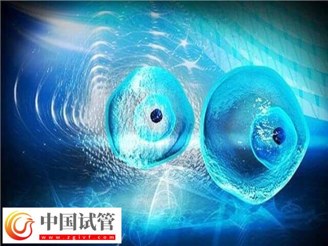 取卵費用和取卵個數(shù)有沒有關(guān)(圖1)