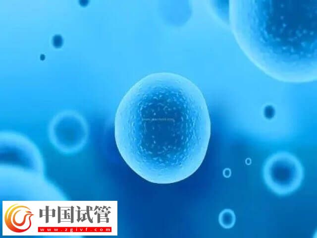 取卵第七天肚子鼓好大是怎么回事(圖1)