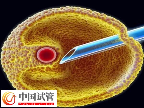 取卵第七天肚子鼓好大是怎么回事(圖2)