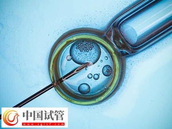 取卵后精卵不結合該怎么辦(圖1)