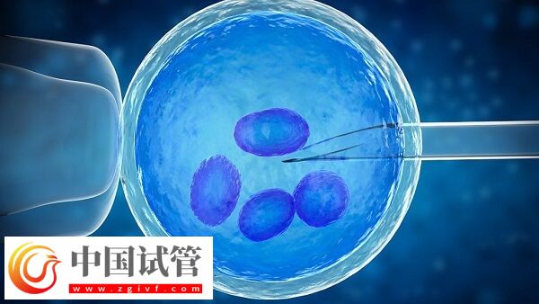 人工周期要去幾次醫院(圖2)