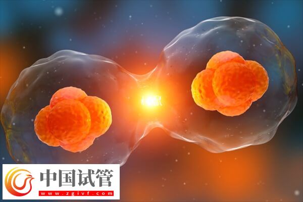 一移失敗二移成功率高不高(圖2)