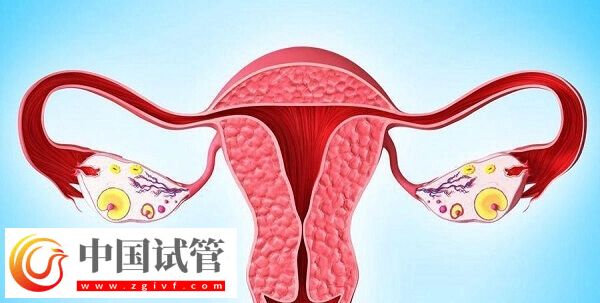 達(dá)菲林降調(diào)成功卵泡是多大(圖4)