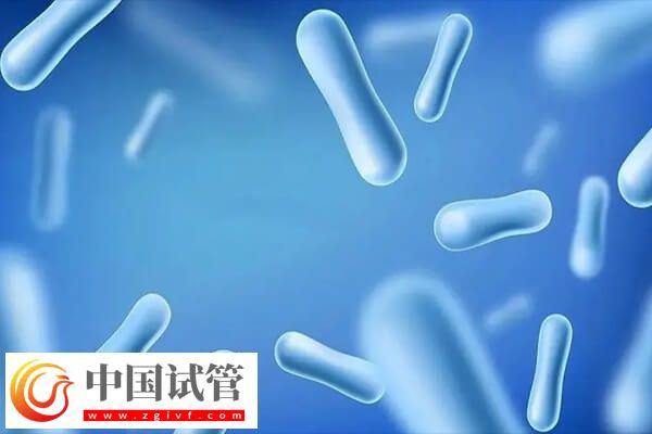 試管移植前吃益生菌的作用是什么(圖2)