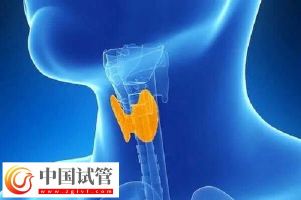 試管促排一般用多少支果納芬(圖4)