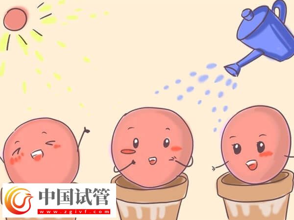 用果納芬促排的成功率高不高(圖1)