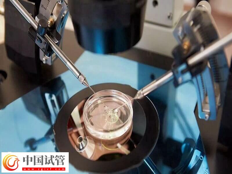 人工授精跟試管嬰兒有什么區別(圖2)