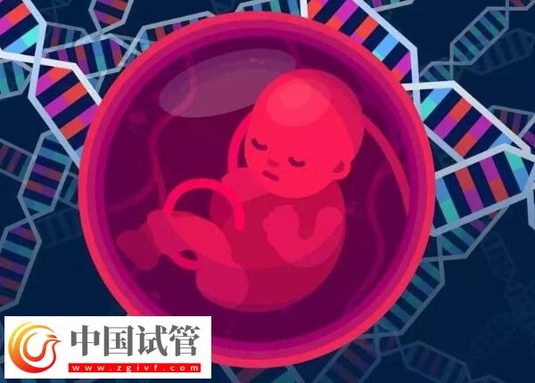 胚胎移植后的常見癥狀有哪些(圖1)