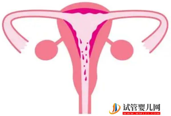 19歲美國“圣母”：扎根非洲十幾年，救死了100個孩子(圖18)