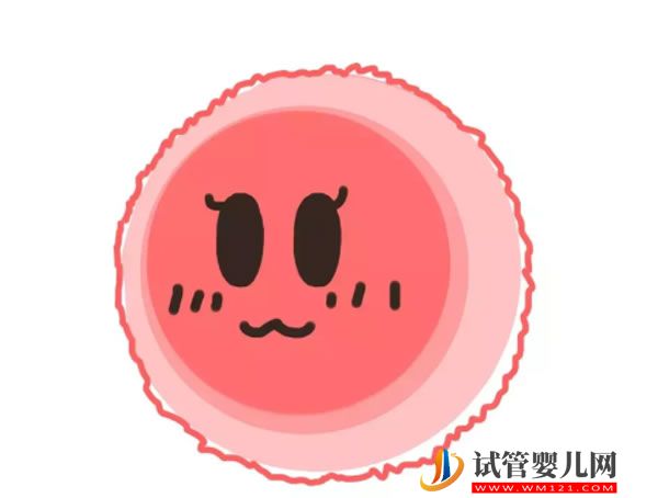 合肥安醫大試管成功率高嗎？ 合肥安醫大做試管多少錢(圖1)