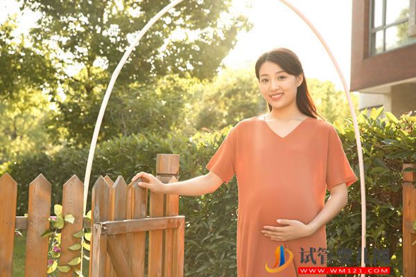 泰國做試管嬰兒價格明細 這筆錢占大頭(圖3)