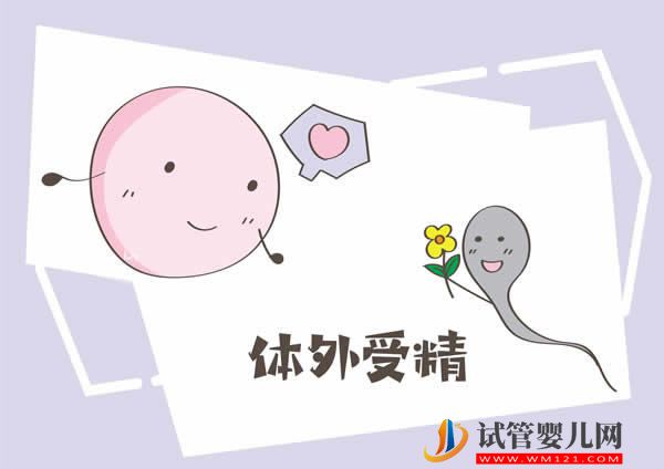 第三代美國試管嬰兒成功概率(圖2)